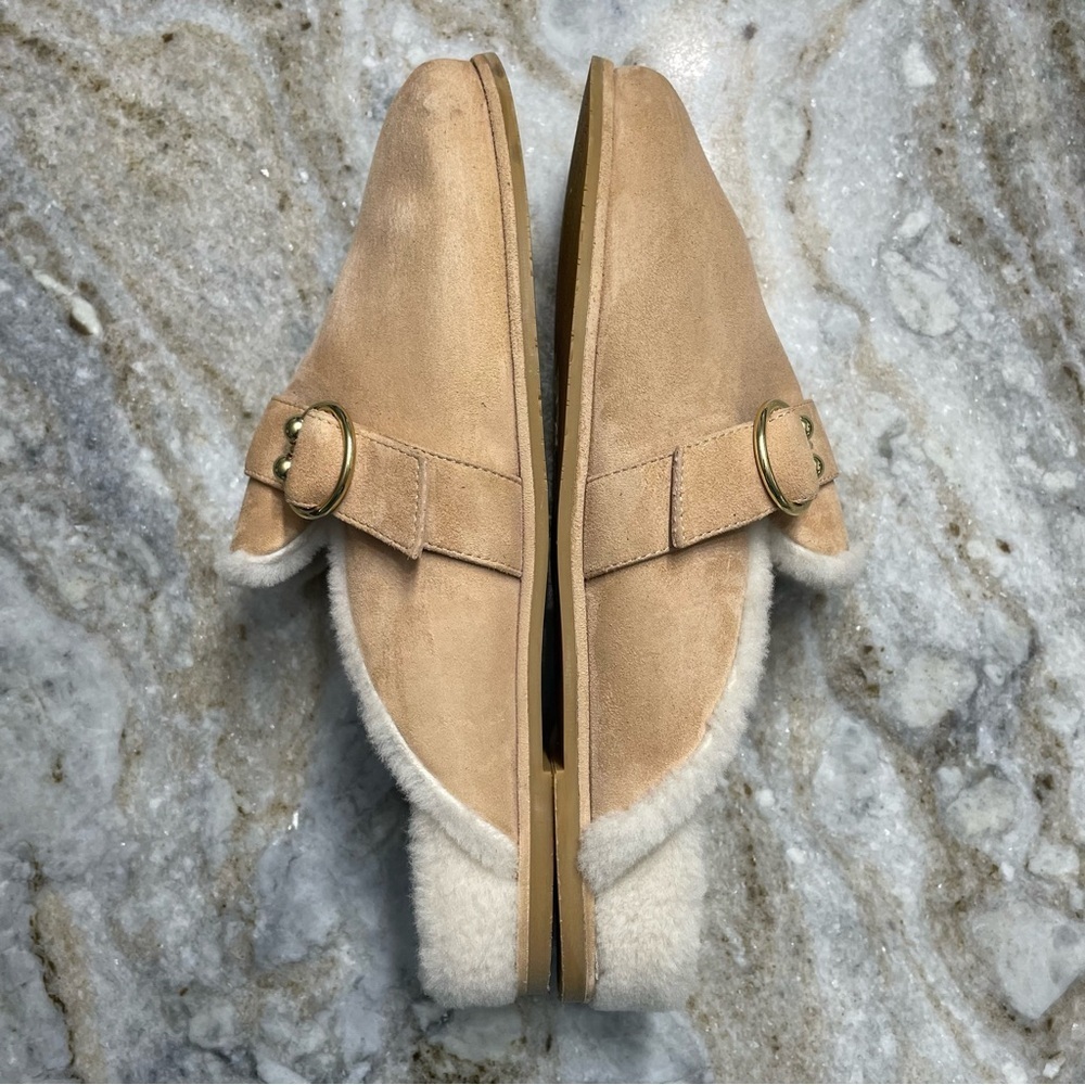 Stuart Weitzman Cozy Luxering Suede & Shearling Clog Slippers - Picture 5 of 13